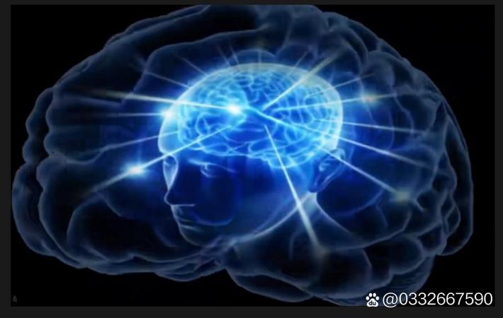 黑料718前线 - 某综艺节目录制现场突发状况，导演组紧急叫停